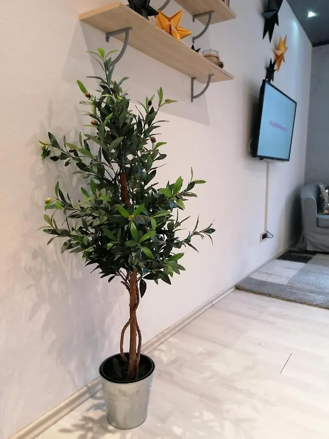 Apartmán Via Corso Rijeka Chorvatsko